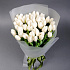 Тюльпан белый 45 - Фото 2