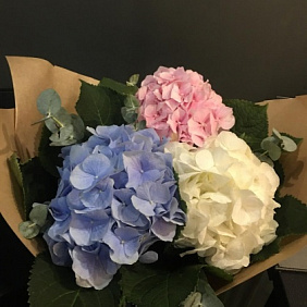 Букет цветов "голубика-малинка"