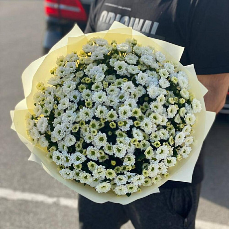 Сантини №160 - Фото 5