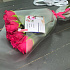 Букет Эквадорских роз Пинк Флойд 60см - Фото 1