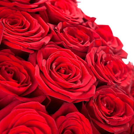 101 красная роза Фридом - Эквадор (70 см) - Фото 5