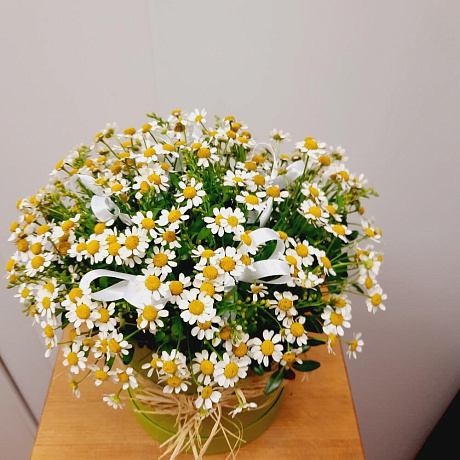Композиция цветов в шляпной коробке Ромашки - Фото 4
