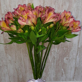 Букет Альстромерия микс №175