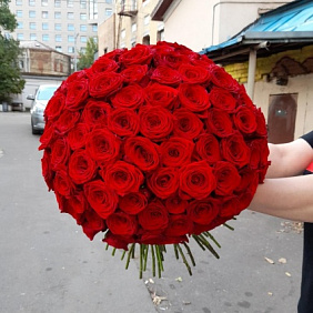 Роза 101 №173