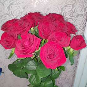 15 роз ред наоми