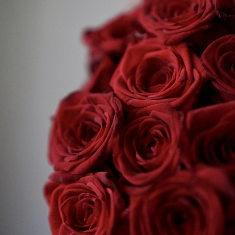 Классический букет из 19 роз Ред Наоми - Фото 3