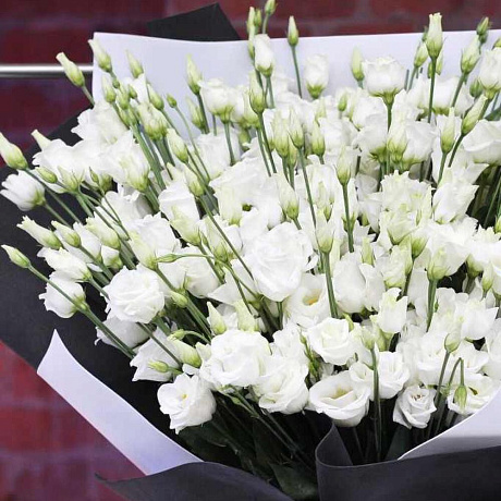 Эустома 35 - Фото 2