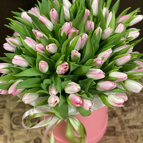 Розовые тюльпаны - Фото 2