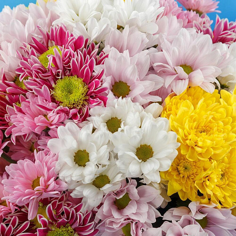 Букет из хризантем Звездное небо (миди) №160 - Фото 3
