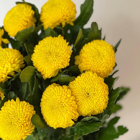 Букет цветов Желток - Фото 5