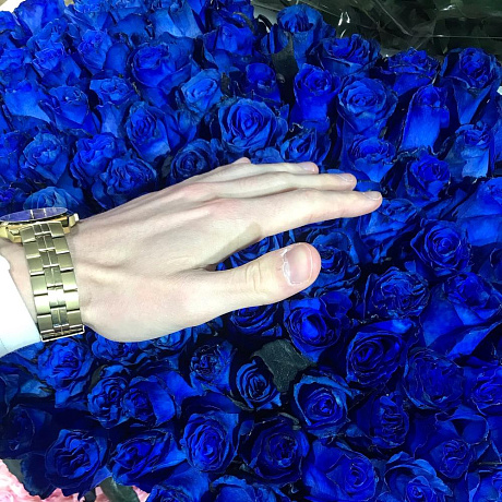 Букет живых синих роз 101 шт - Фото 2