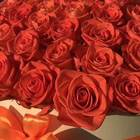 Коробка XXL из 101 оранжевой розы. N246 - Фото 3