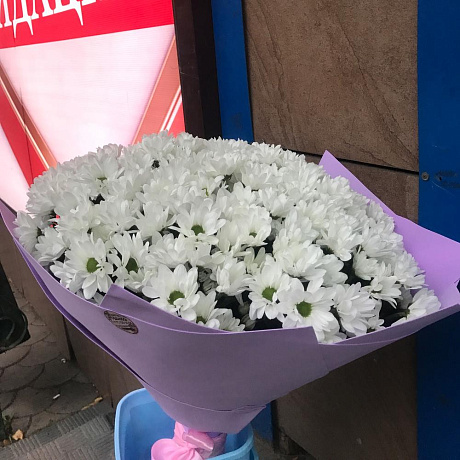 Букет цветов Ромашки XXXl - Фото 4