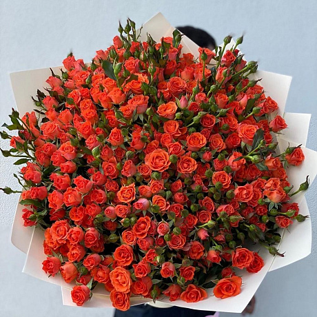 Кустовые розы vip - Фото 2