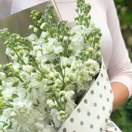 Букет из белых маттиол - Фото 3