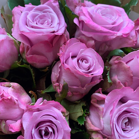Букет цветов Purple roses - Фото 5