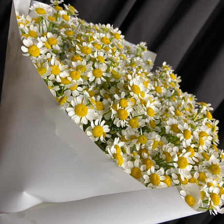 Букет Танацетума №161 - Фото 5