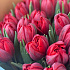 Тюльпаны Рубин - Фото 3