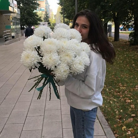 Хризантема одноноловая