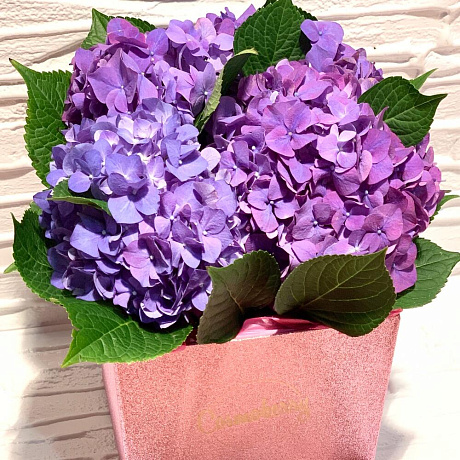 Шкатулка с гортензией и клубникой в бельгийском шоколаде - Фото 6