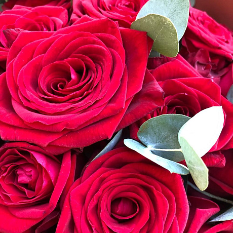 31 чарующих роз Red Naomi с эвкалиптом - Фото 6