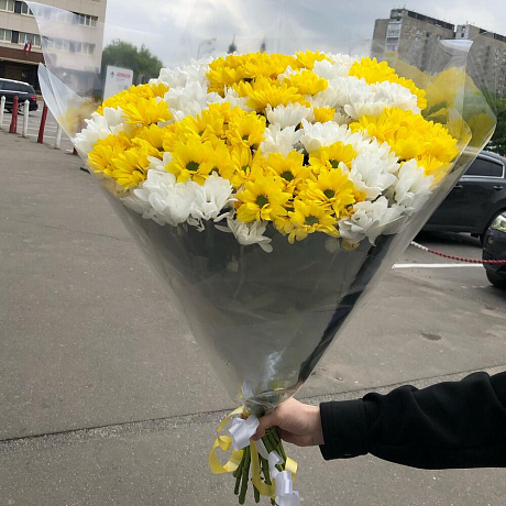 Букет кустовых хризантем №176 - Фото 4