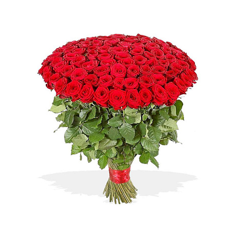 101 красная роза Рэд Наоми (70 см) - Фото 4