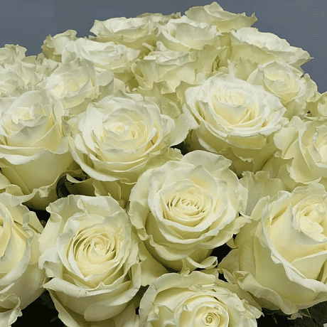 15 роз Мондиаль 60 см - Фото 2
