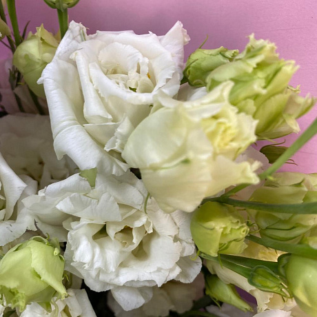 Букет Моно из 7 Лизиантусов - Фото 5