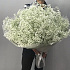 Букет Гифсофила №260 - Фото 2
