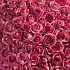 101 розовая роза Премиум - Фото 5