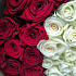 Сердца с розами 101шт - Фото 5