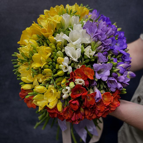 Моно-букет АРОМАТНЫЕ ФРЕЗИИ - Фото 2