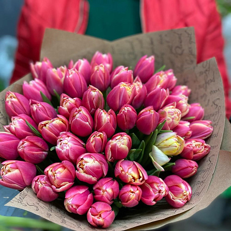 Тюльпаны пионавидные - Фото 5