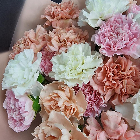 Букет из нежных диантусов - Фото 4