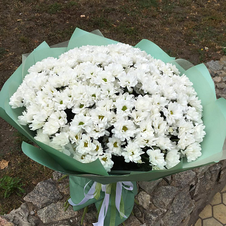 Облако из ромашки - Фото 3