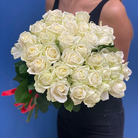 35 белая Роза