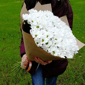Букет из 15 ромашковых хризантем
