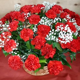 Корзина с гвоздиками №160