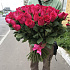 Букет из 101 малиновой розы 60 см - Фото 5