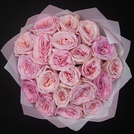 Букет из 21 ароматных эквадорских роз Pink O Hara - Фото 2
