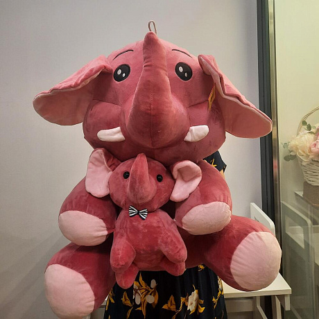 Букет цветов Розовый слон - Фото 5