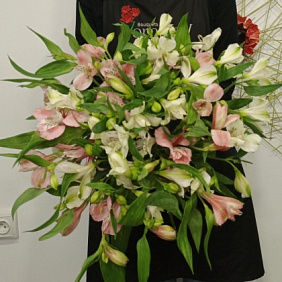 Букет Альстромерия микс №165