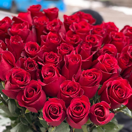 Роза Эксплорер 90см - Фото 4