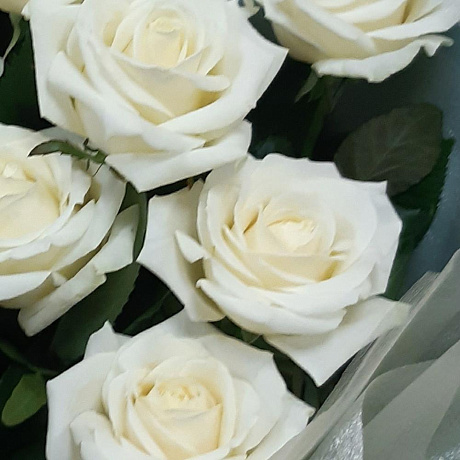 Белые розы 11 шт - Фото 3