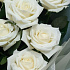 Белые розы 11 шт - Фото 3