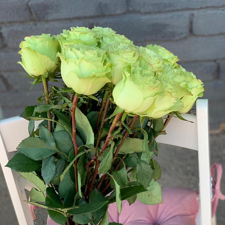 Монобукет 25 Зелёных роз 60см - Фото 3