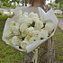 Букет Bowl of Cream - Фото 3