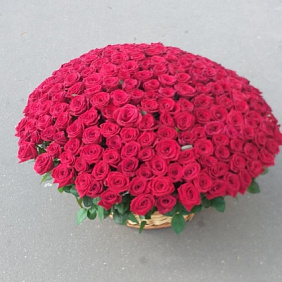Корзина из 251 роза