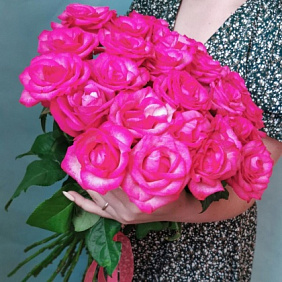 Розы Фуксия №160
